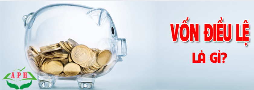 Vốn điều lệ là gì