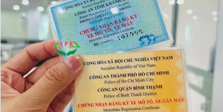 Cà vẹt xe