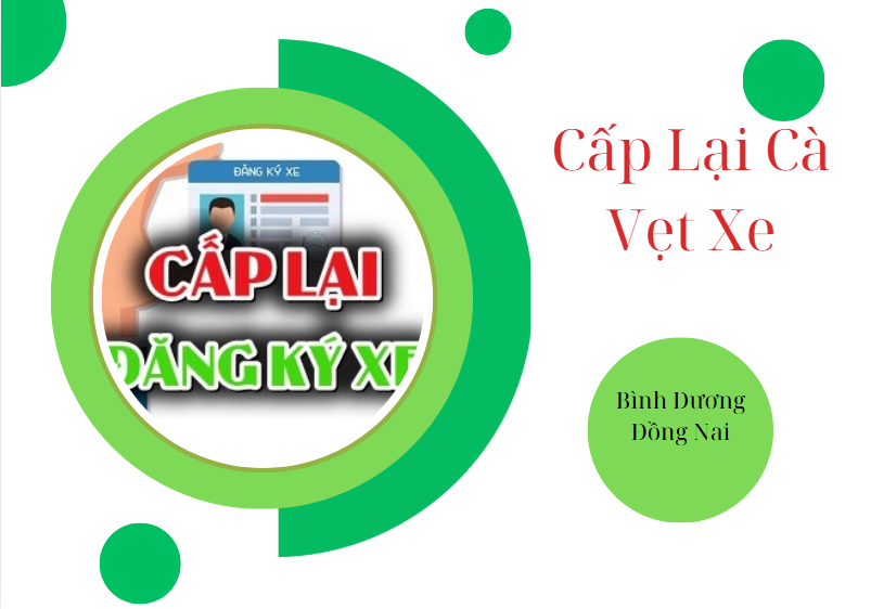 Cấp lại Cấp mới cà vẹt xe