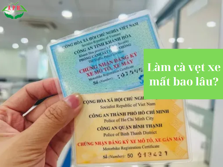 Làm cà vẹt xe mất bao lâu