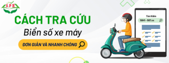 Có thể tra cứu cà vẹt xe online không?