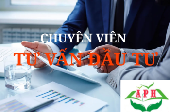 Dịch Vụ Tư Vấn Đầu Tư Của Công Ty An Phúc Hưng