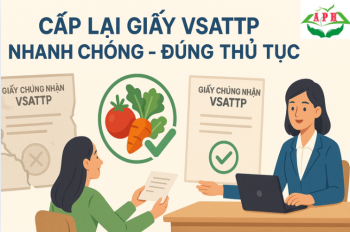 Thủ tục xin cấp lại giấy vệ sinh an toàn thực phẩm khi bị mất hoặc hết hạn
