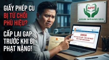 Cảnh báo: Giấy phép kinh doanh vận tải trước 2025 – Đã đến lúc phải thay đổi để xin phù hiệu xe